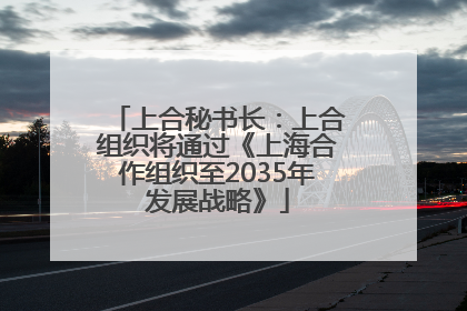 上合秘书长：上合组织将通过《上海合作组织至2035年发展战略》