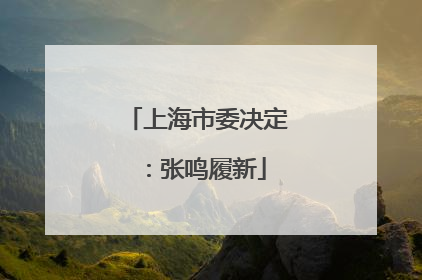 上海市委决定：张鸣履新