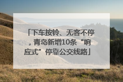下车按铃、无客不停，青岛新增10条“响应式”停靠公交线路