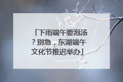 下雨端午要泡汤？别急，东湖端午文化节推迟举办