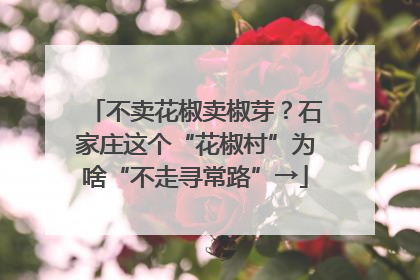 不卖花椒卖椒芽？石家庄这个“花椒村”为啥“不走寻常路”→