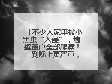 不少人家里被小黑虫“入侵”，墙壁窗户全部爬满！一到晚上更严重，还有一股臭味