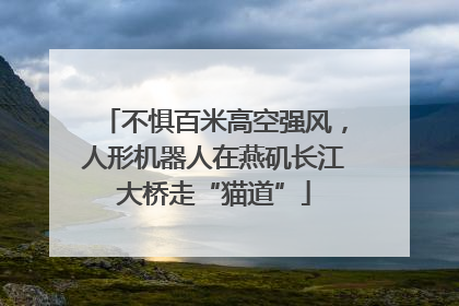 不惧百米高空强风，人形机器人在燕矶长江大桥走“猫道”
