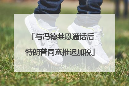 与冯德莱恩通话后 特朗普同意推迟加税