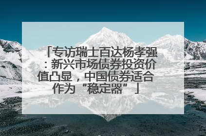 专访瑞士百达杨孝强：新兴市场债券投资价值凸显，中国债券适合作为“稳定器”