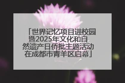 世界记忆项目进校园暨2025年文化和自然遗产日侨批主题活动在成都市青羊区启幕