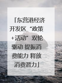 东营港经济开发区“政策+活动”双轮驱动 提振消费能力 释放消费潜力