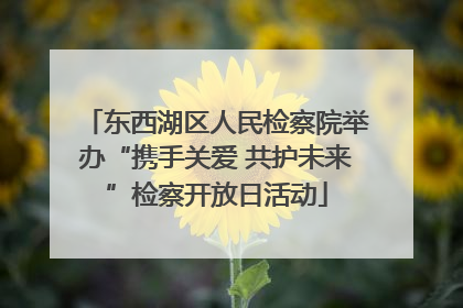 东西湖区人民检察院举办“携手关爱 共护未来”检察开放日活动