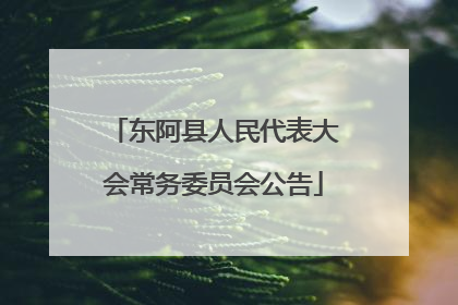 东阿县人民代表大会常务委员会公告