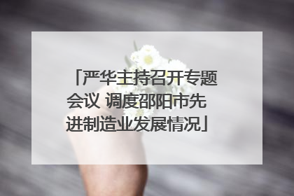 严华主持召开专题会议 调度邵阳市先进制造业发展情况