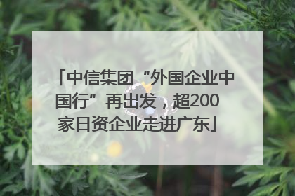 中信集团“外国企业中国行”再出发，超200家日资企业走进广东