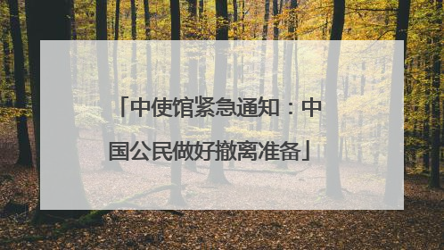中使馆紧急通知：中国公民做好撤离准备