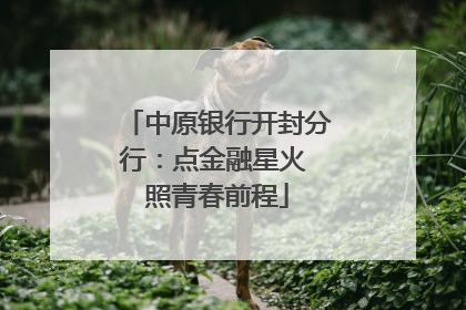 中原银行开封分行：点金融星火 照青春前程