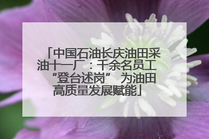 中国石油长庆油田采油十一厂：千余名员工“登台述岗” 为油田高质量发展赋能