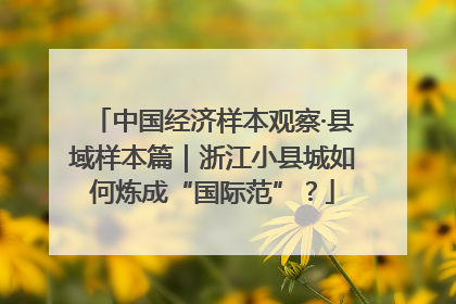 中国经济样本观察·县域样本篇｜浙江小县城如何炼成“国际范”？