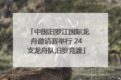 中国汨罗江国际龙舟邀请赛举行 24支龙舟队汨罗竞渡
