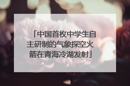 中国首枚中学生自主研制的气象探空火箭在青海冷湖发射