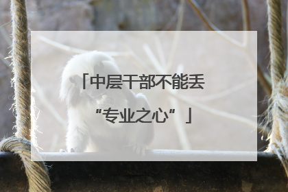 中层干部不能丢“专业之心”