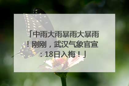 中雨大雨暴雨大暴雨！刚刚，武汉气象官宣：18日入梅！