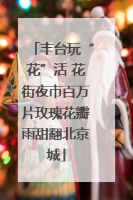 丰台玩“花”活 花街夜市百万片玫瑰花瓣雨甜翻北京城
