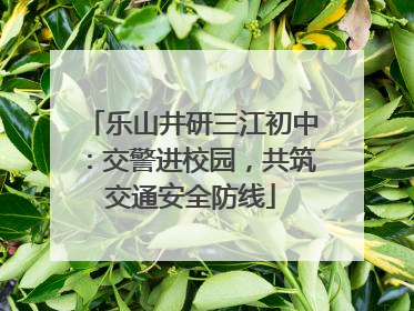 乐山井研三江初中：交警进校园，共筑交通安全防线