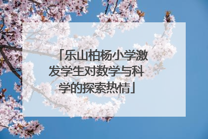 乐山柏杨小学激发学生对数学与科学的探索热情