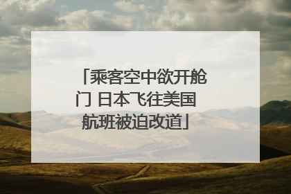 乘客空中欲开舱门 日本飞往美国航班被迫改道