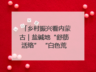 乡村振兴看内蒙古｜盐碱地“舒筋活络” “白色荒漠”长出吨粮田