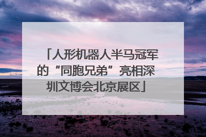 人形机器人半马冠军的“同胞兄弟”亮相深圳文博会北京展区