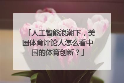 人工智能浪潮下，美国体育评论人怎么看中国的体育创新？
