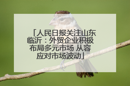 人民日报关注山东临沂：外贸企业积极布局多元市场 从容应对市场波动