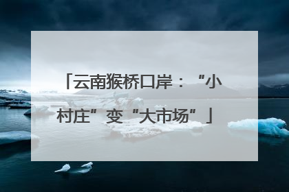云南猴桥口岸：“小村庄”变“大市场”