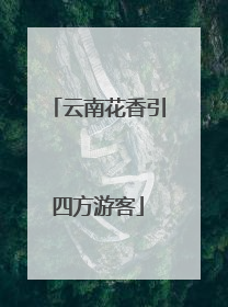 云南花香引四方游客