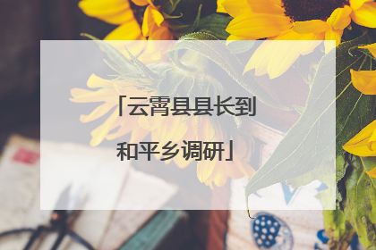 云霄县县长到和平乡调研