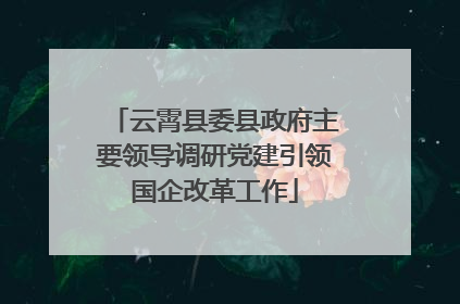 云霄县委县政府主要领导调研党建引领国企改革工作