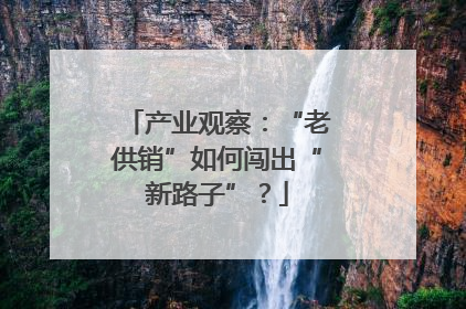 产业观察：“老供销”如何闯出“新路子”？