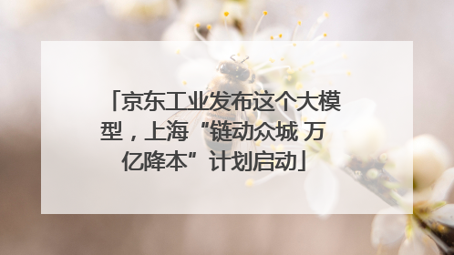 京东工业发布这个大模型，上海“链动众城 万亿降本”计划启动