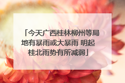 今天广西桂林柳州等局地有暴雨或大暴雨 明起桂北雨势有所减弱