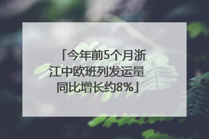 今年前5个月浙江中欧班列发运量同比增长约8%