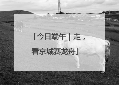 今日端午｜走，看京城赛龙舟