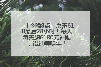 今晚8点，京东618最后28小时！每人每天超6180元补贴，错过等明年！