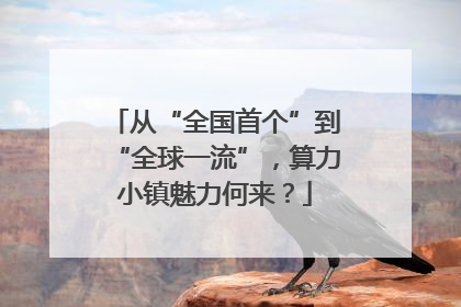 从“全国首个”到“全球一流”，算力小镇魅力何来？