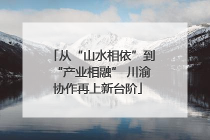 从“山水相依”到“产业相融” 川渝协作再上新台阶