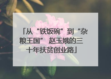 从“铁饭碗”到“杂粮王国” 赵玉娥的三十年扶贫创业路