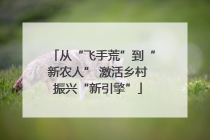从“飞手荒”到“新农人” 激活乡村振兴“新引擎”