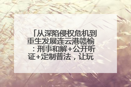 从深陷侵权危机到重生发展连云港赣榆：刑事和解+公开听证+定制普法，让玩具公司回到正轨