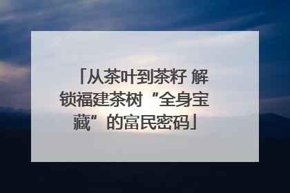 从茶叶到茶籽 解锁福建茶树“全身宝藏”的富民密码