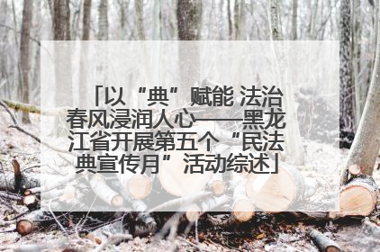以“典”赋能 法治春风浸润人心——黑龙江省开展第五个“民法典宣传月”活动综述