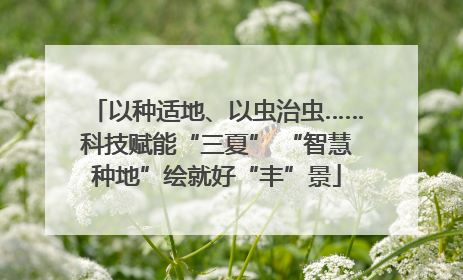 以种适地、以虫治虫……科技赋能“三夏” “智慧种地”绘就好“丰”景
