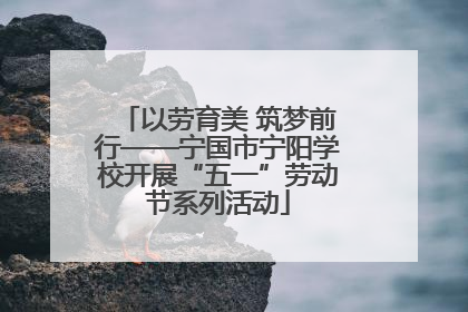 以劳育美 筑梦前行——宁国市宁阳学校开展“五一”劳动节系列活动